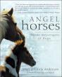 Angel Horses - Preview
