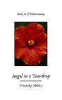 Angel In A Teardrop - Preview