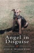Angel In Disguise