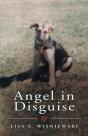 Angel In Disguise - Preview