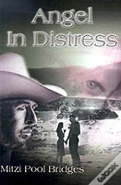 Capa do artigo Angel In Distress