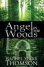 Angel In The Woods - Preview