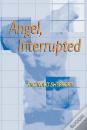 Capa do artigo Angel, Interrupted