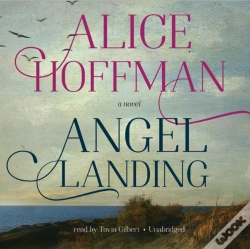 Capa do artigo Angel Landing