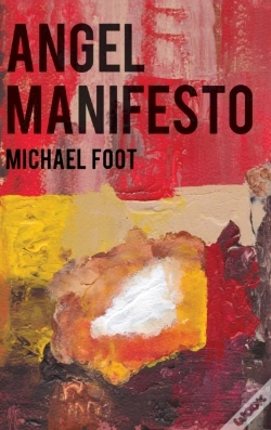 Capa do artigo Angel Manifesto