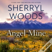 Capa do artigo Angel Mine