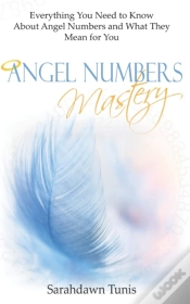 Capa do artigo Angel Numbers Mastery: Everything You Ne
