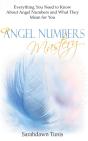 Angel Numbers Mastery: Everything You Ne - Preview