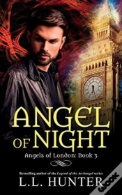 Capa do artigo Angel Of Night