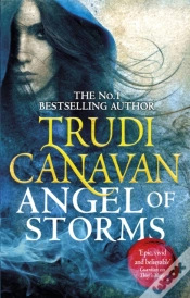 Capa do artigo Angel Of Storms