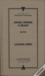 Capa do artigo Angel Riding A Beast