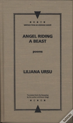 Capa do artigo Angel Riding A Beast