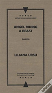 Angel Riding A Beast