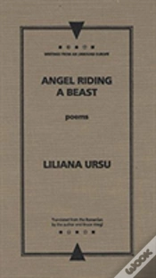 Capa do artigo Angel Riding A Beast