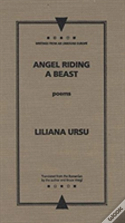 Capa do artigo Angel Riding A Beast