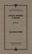 Angel Riding A Beast