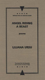 Angel Riding A Beast - Preview