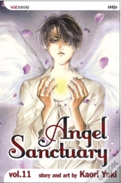 Capa do artigo Angel Sanctuary, Vol. 11