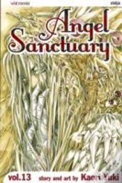 Capa do artigo Angel Sanctuary, Vol. 13