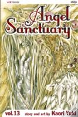 Capa do artigo Angel Sanctuary, Vol. 13