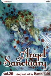 Capa do artigo Angel Sanctuary, Vol. 20