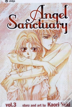 Capa do artigo Angel Sanctuary, Vol. 3