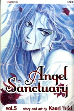 Capa do artigo Angel Sanctuary, Vol. 5