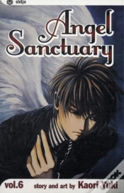 Capa do artigo Angel Sanctuary, Vol. 6