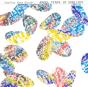 Angel Tears in Sunlight - CD - Preview