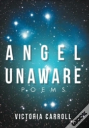 Capa do artigo Angel Unaware