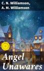 Angel Unawares - Preview