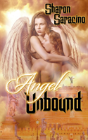 Angel Unbound - Preview