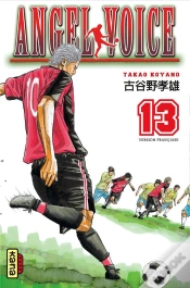 Capa do artigo Angel Voice 13