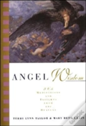 Capa do artigo Angel Wisdom
