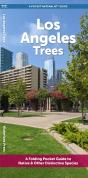 Angeles Trees - Preview