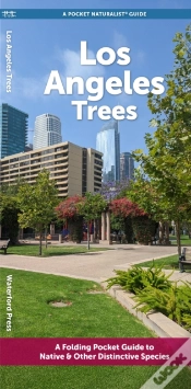 Capa do artigo Angeles Trees
