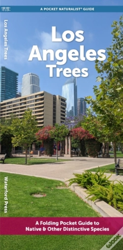 Capa do artigo Angeles Trees