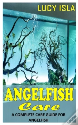 Capa do artigo Angelfish Care