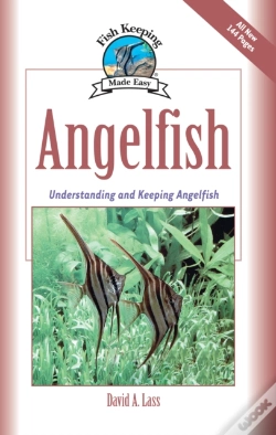 Capa do artigo Angelfish