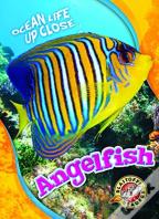 Angelfish