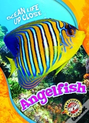 Capa do artigo Angelfish