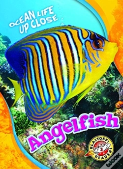 Capa do artigo Angelfish