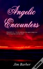 Capa do artigo Angelic Encounters