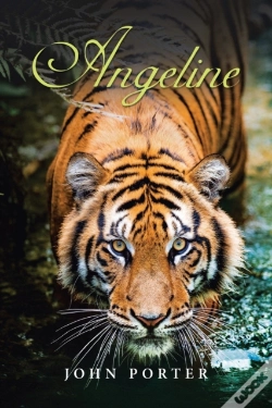 Capa do artigo Angeline