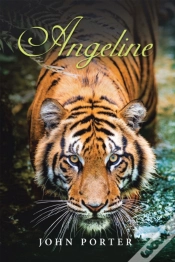 Capa do artigo Angeline