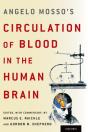 Angelo Mosso'S Circulation Of Blood In The Human Brain - Preview