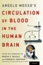 Angelo Mosso'S Circulation Of Blood In The Human Brain - Preview