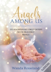 Capa do artigo Angels Among Us