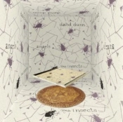 Capa do artigo Angels and Insects - CD