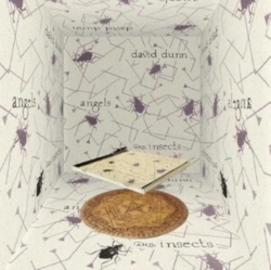 Capa do artigo Angels and Insects - CD